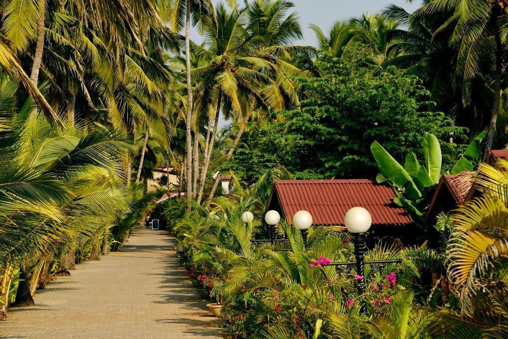 Majestic Comfort 3*